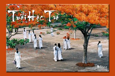 Những bài hát hay về tuổi học trò